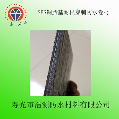 廠家 直銷寶石牌 SBS銅胎基耐根穿刺防水卷材 建筑防水專用 -25&deg;C聚酯胎 厚度4mm 國標(biāo) sbs防水卷材圖片_高清圖_細(xì)節(jié)圖