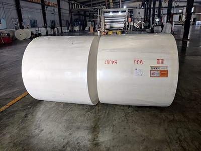 長纖聚脂胎得到快速發(fā)展是必然的趨勢