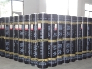 【防水卷材】相冊、圖片- 湖南騰龍科技集團(tuán)