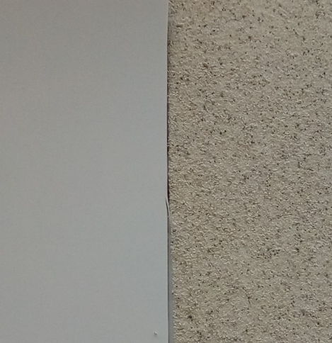 曲靖市預(yù)鋪防粘型防水卷材生產(chǎn)廠家供應(yīng) 濰坊星洲防水