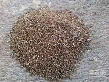 2018輪胎價(jià)格 報(bào)價(jià) 輪胎批發(fā) 第37頁(yè) 汽車(chē)用品網(wǎng)