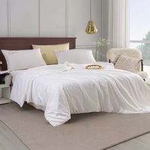 長(zhǎng)絲聚酯胎