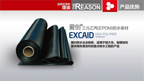 百步亭專業防水價格