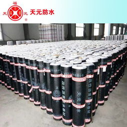 濰坊天元sbs改性瀝青防水卷材4mm聚酯胎 20 ,防水材料質量保證圖片,濰坊天元sbs改性瀝青防水卷材4mm聚酯胎 20 ,防水材料質量保證高清圖片 濰坊天元防水材料公司,