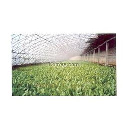 優(yōu)質大棚膜廠家直銷——山東青州恒豐聚酯胎大棚膜