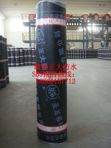 濰坊廠(chǎng)家供應(yīng)圣龍牌SBS防水卷材 高品質(zhì)聚酯胎材料助力河南建筑防水